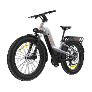 Nomad Pro