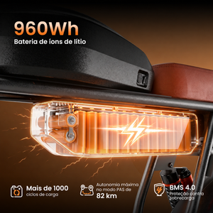 R6 Max